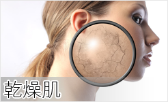 乾燥肌